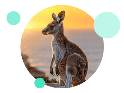 Australia ETA Visa Application